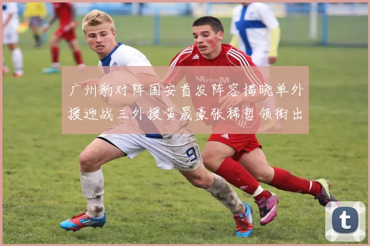 广州豹对阵国安首发阵容揭晓单外援迎战三外援黄晟豪张稀哲领衔出战