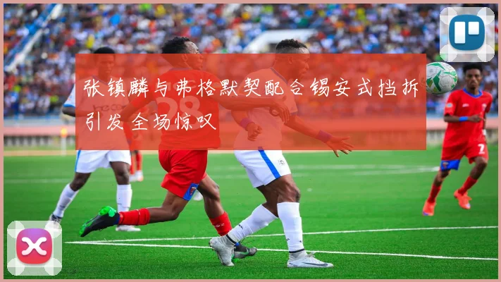 张镇麟与弗格默契配合锡安式挡拆引发全场惊叹